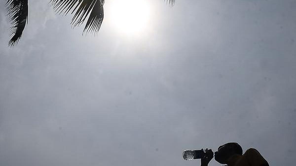 Scanty summer showers amplify impact of heat in Kerala