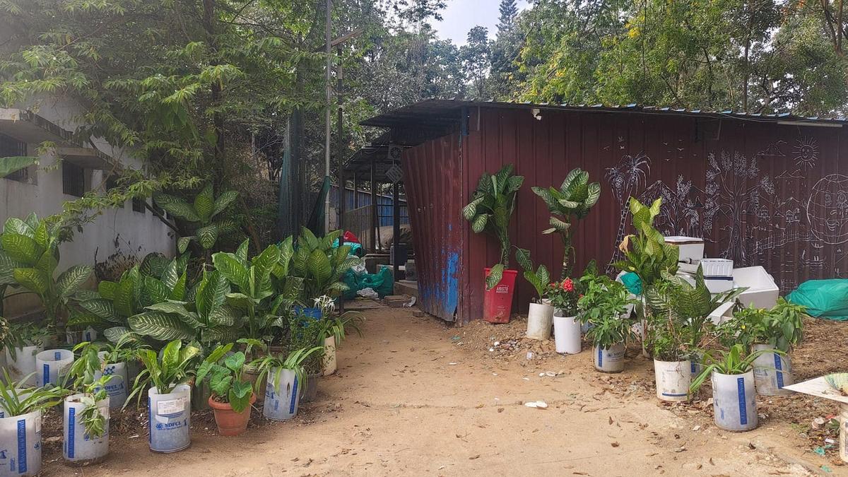 Kidwai Memorial Institute of Oncology gets ISO 14001:2015 certification for solid waste management