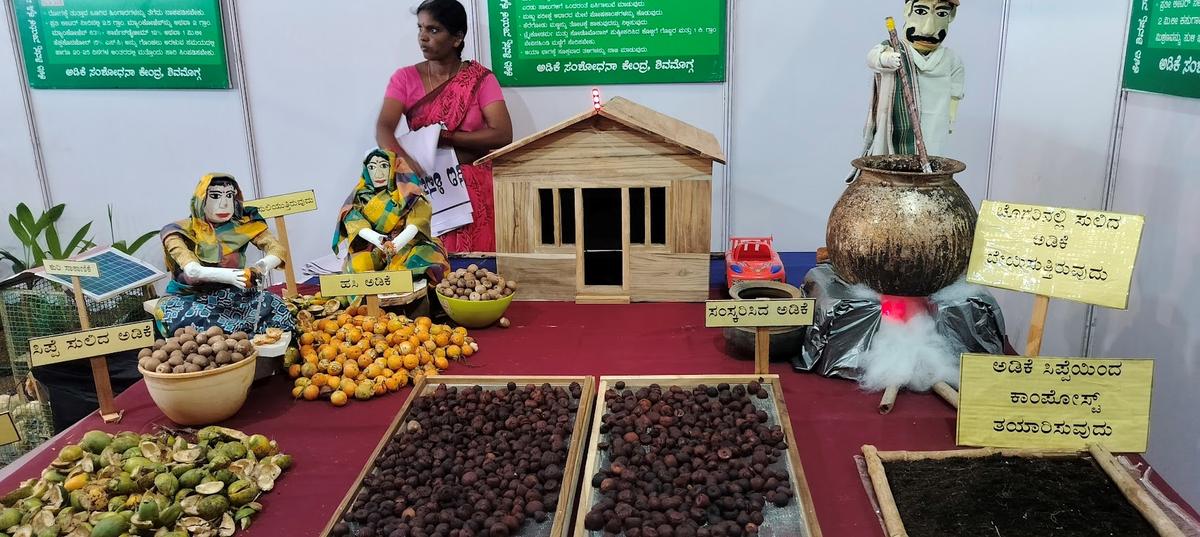 केलाडी शिवप्पा नायक कृषि और बागवानी विज्ञान विश्वविद्यालय के सुपारी अनुसंधान केंद्र ने शुक्रवार को शिवमोग्गा में विश्वविद्यालय द्वारा आयोजित कृषि मेले में सुपारी फार्म और प्रसंस्करण इकाई का एक मॉडल प्रदर्शित किया। 