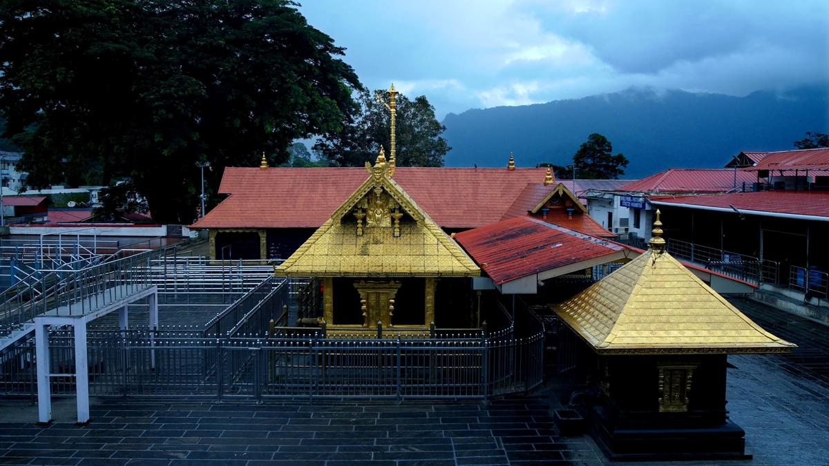 BCAS permits Sabarimala pilgrims to carry coconuts in cabin baggage on flights