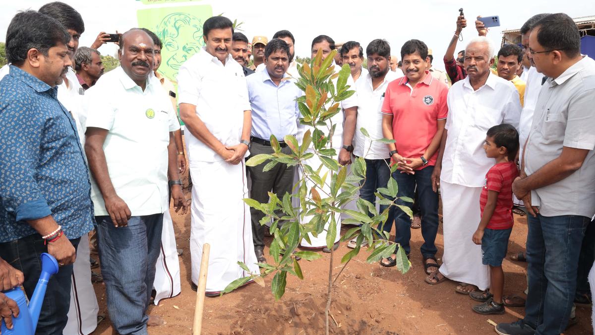 800 acres adjoining Orathupalayam Dam brought under Green Tamil Nadu Mission