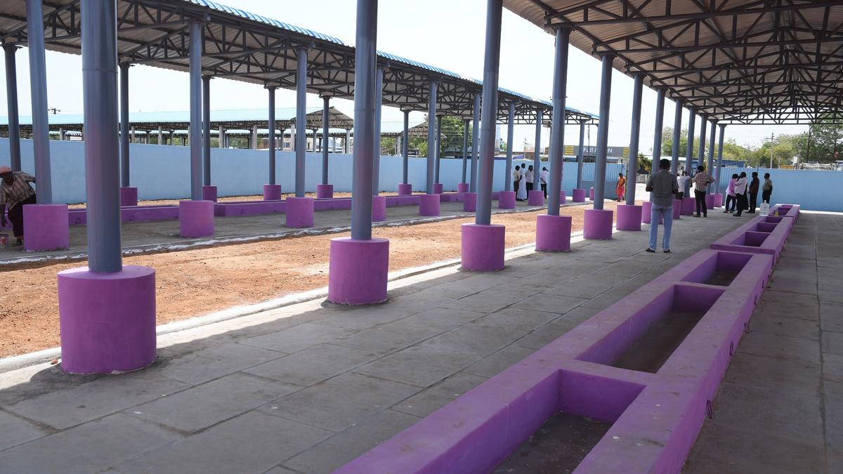 Cattle market gets sheds with fodder pit