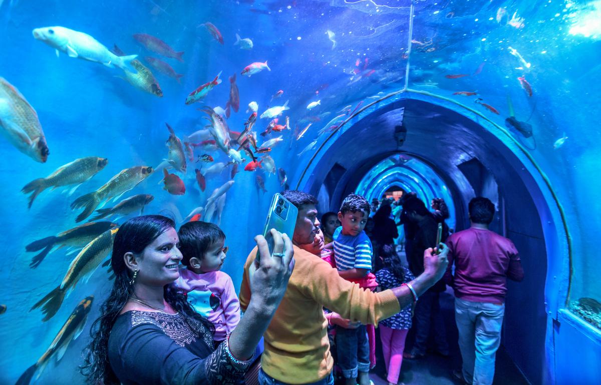 A peep into the 200-foot-long mobile underwater fish aquarium in  Visakhapatnam - The Hindu