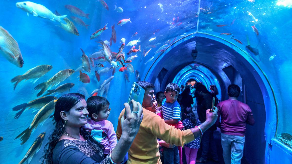 A peep into the 200-foot-long mobile underwater fish aquarium in Visakhapatnam