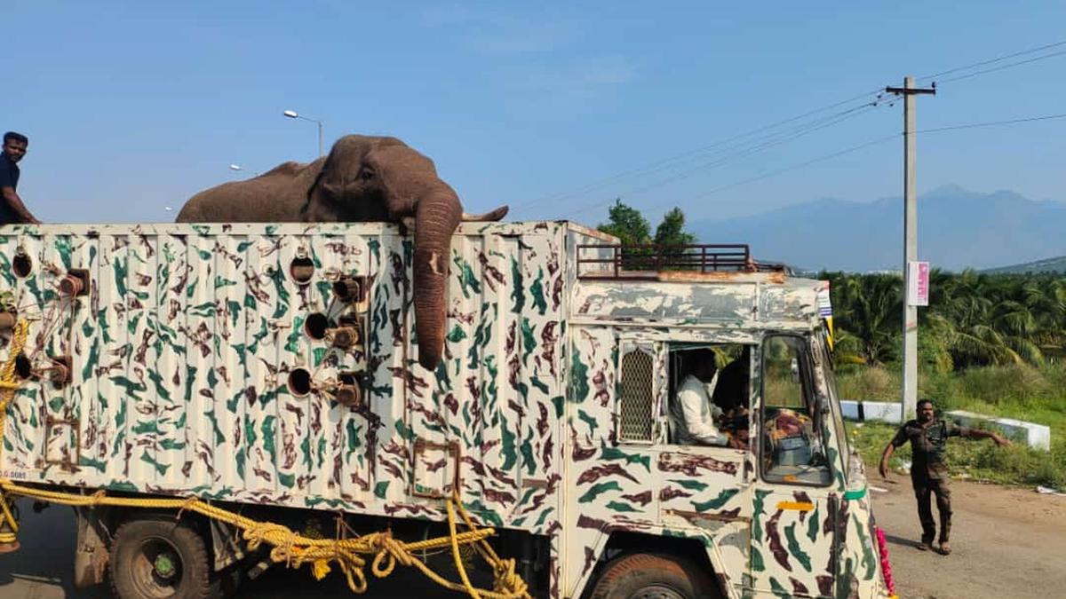 Forest personnel monitor Arikomban’s movement in Tirunelveli tiger reserve