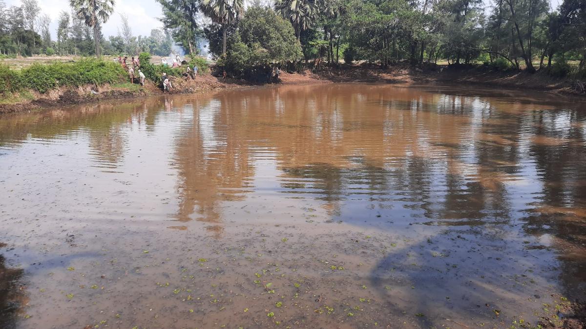 Udupi doctor gets four waterbodies rejuvenated in four years