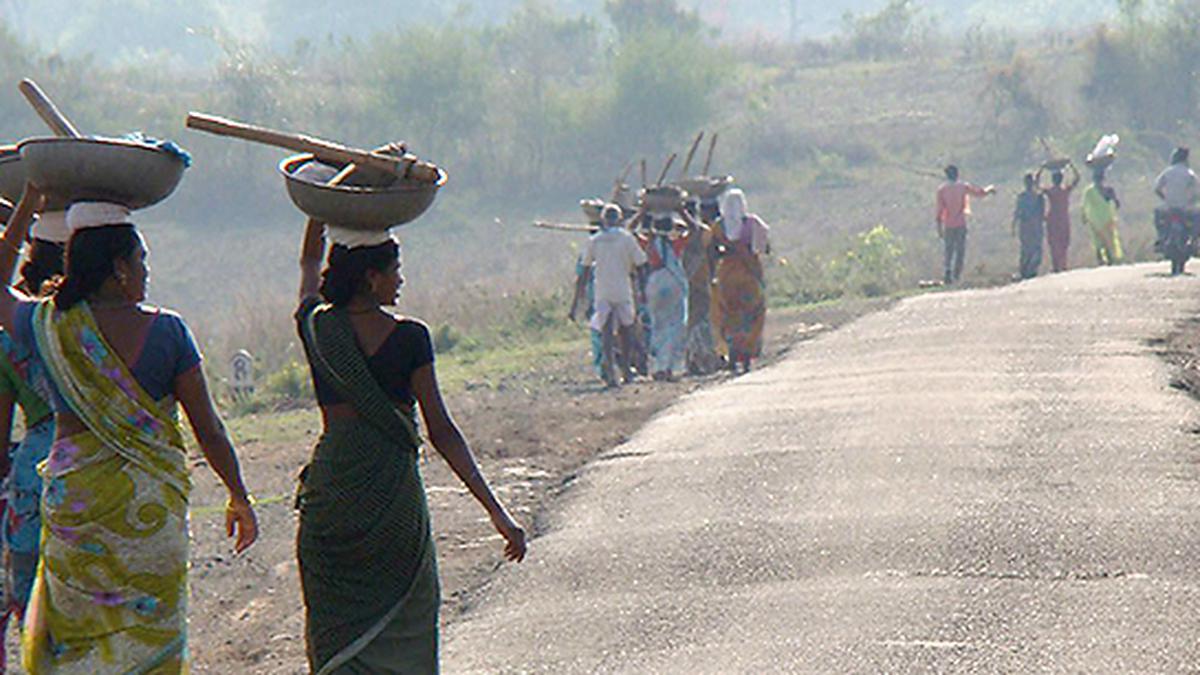 MGNREGS demand not a real indicator of rural distress: Economic Survey 