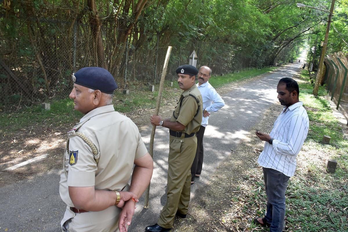 बुधवार तड़के एक गार्ड द्वारा तेंदुए के जोड़े को देखे जाने की सूचना के बाद सुरक्षाकर्मी मैसूर में सीएसआईआर-सीएफटीआरआई परिसर में तलाशी ले रहे हैं।
