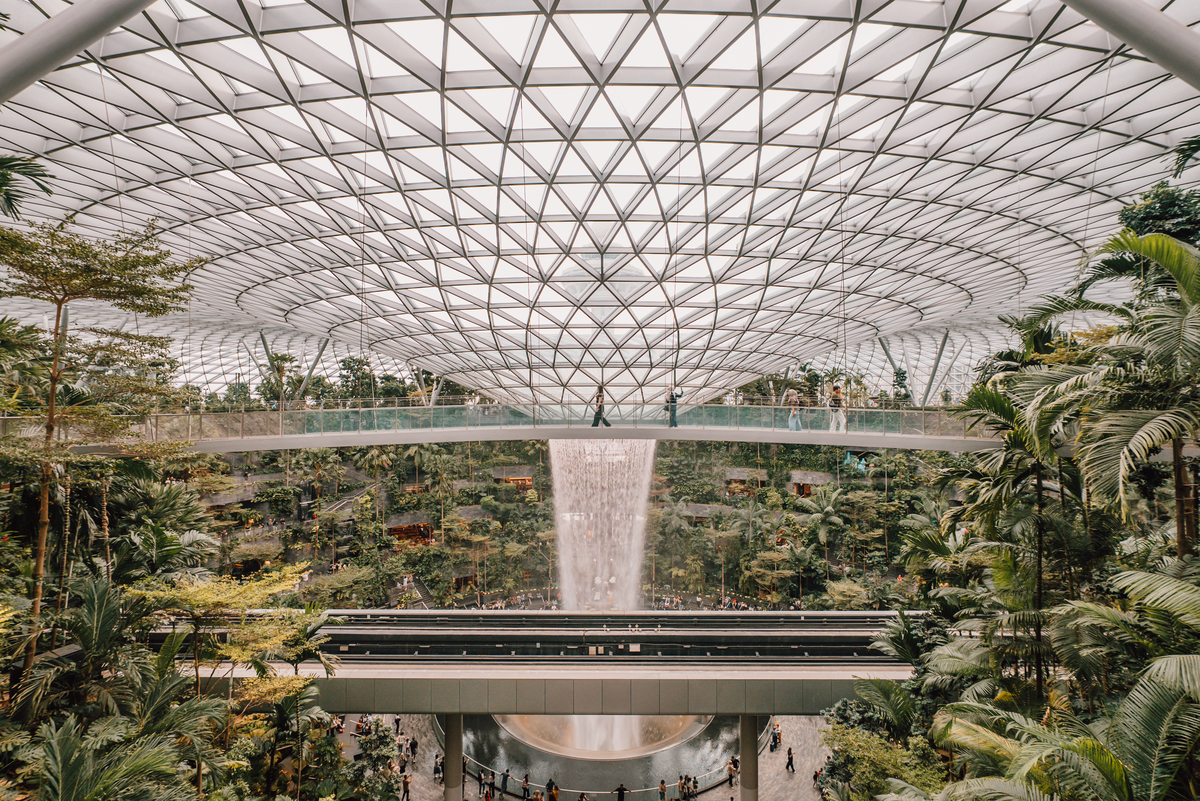 Forest valley and vortex waterfall at The Jewel Forest valley and vortex waterfall at The Jewel