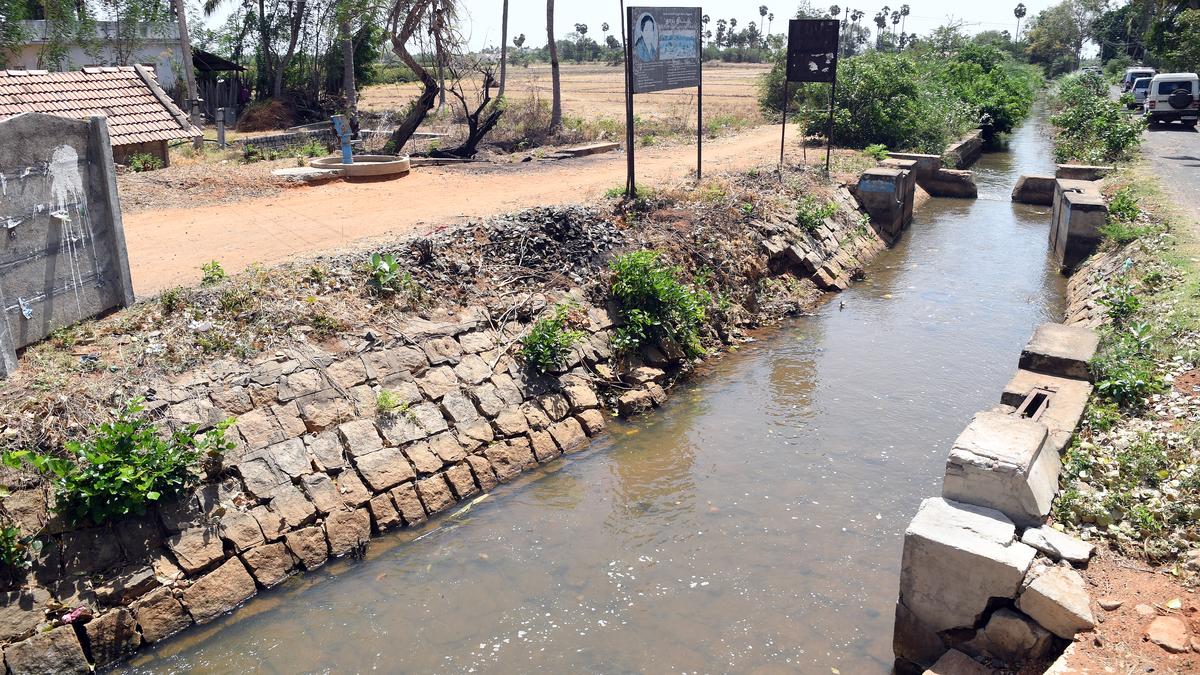 Farmers Demand Renovation of Tail-End Stretch of Kattalai High Level Canal