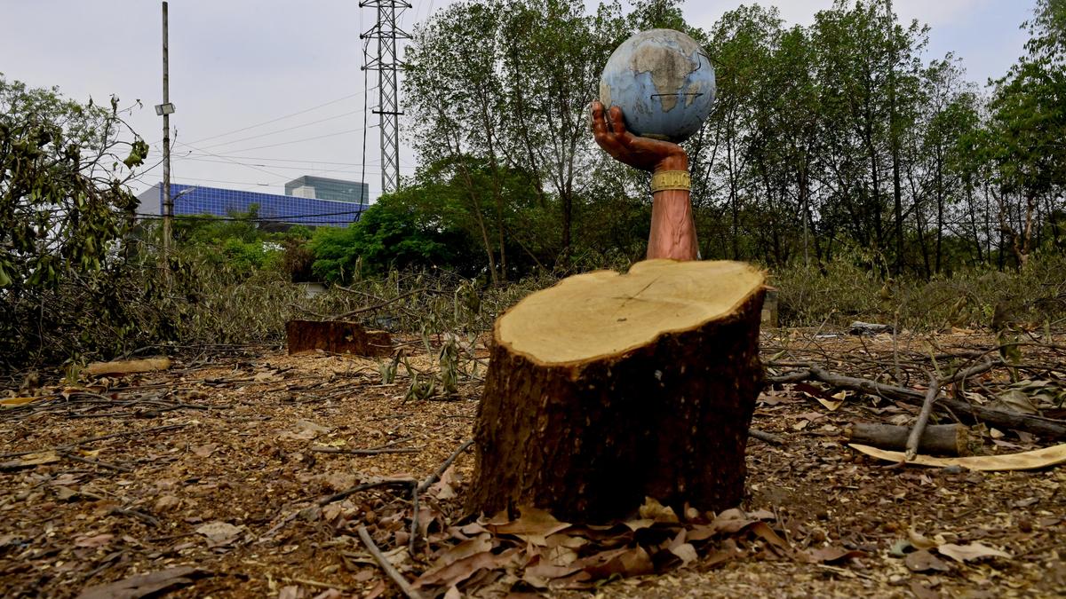 The siege of KBR National Park: Concrete closing in on Hyderabad’s green heart