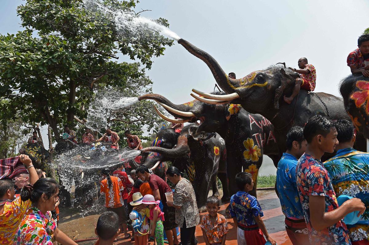  People take part in water battles with elephants as part of celebrations of Songkhran - the Thai new year - in the city of Ayutthaya, north of Bangkok.
The Songkhran Festival is marked throughout Thailand with water fights during the days around the new year on April 13. 