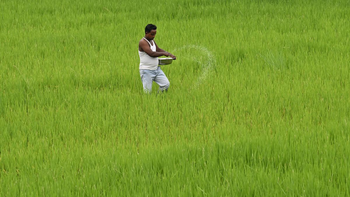 Subsidies, incentives of over 1,800 farmers blocked in Bihar for stubble burning