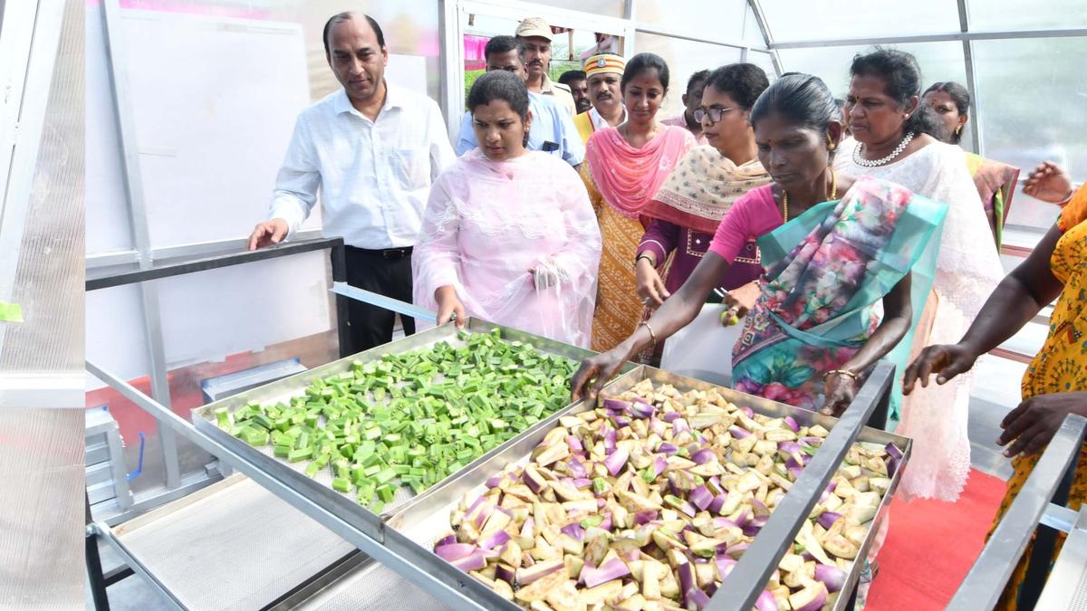 FPOs in Sivaganga district are performing well; shareholders get dividend