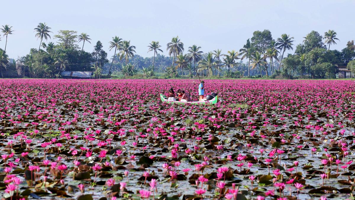 Malarikkal plans to draw more visitors with added attractions, extended timings