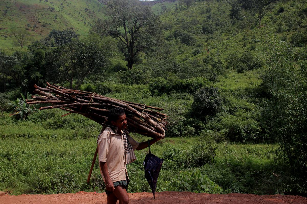 A tribal villager heads back to his hamlet after collecting firewood in Rayagada district of south Odisha.