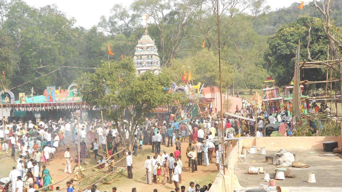 Activists caution Karnataka govt. against promoting temple ‘jatra’ in Bandipur core area