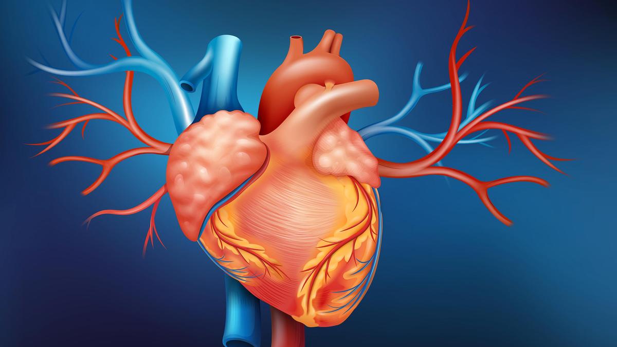 Cardiac team completes first transcatheter tricuspid valve replacement; credits training and teamwork