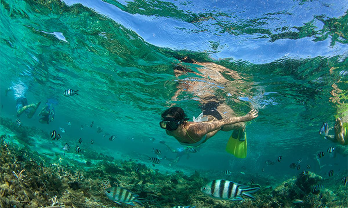 Travellers take a dip during a cruise to the Caribbean. 