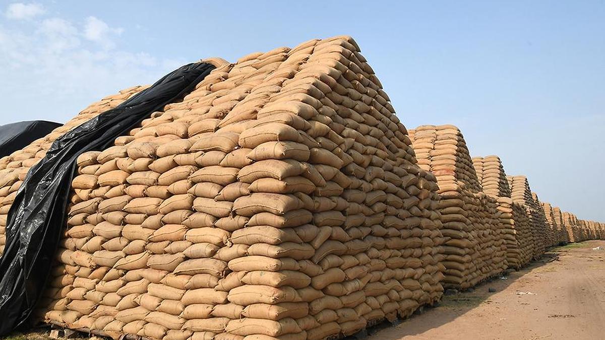 Tamil Nadu’s paddy procurement during lean season not so lean anymore