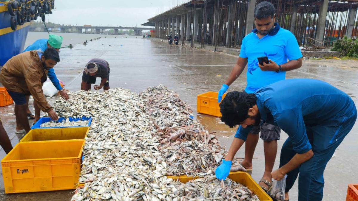 CMFRI survey shows rich diversity of marine species along Kerala coast