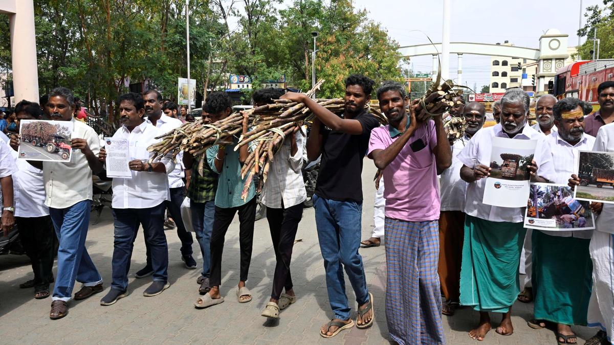 Sugarcane lorry owners&nbsp;in Erode claim they were&nbsp;forced&nbsp;to overload&nbsp;vehicles