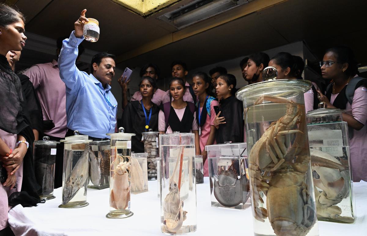 Students at the Open House organised by the Fisheries Survey of India, at the fishing harbour in Visakhapatnam on Tuesday. 