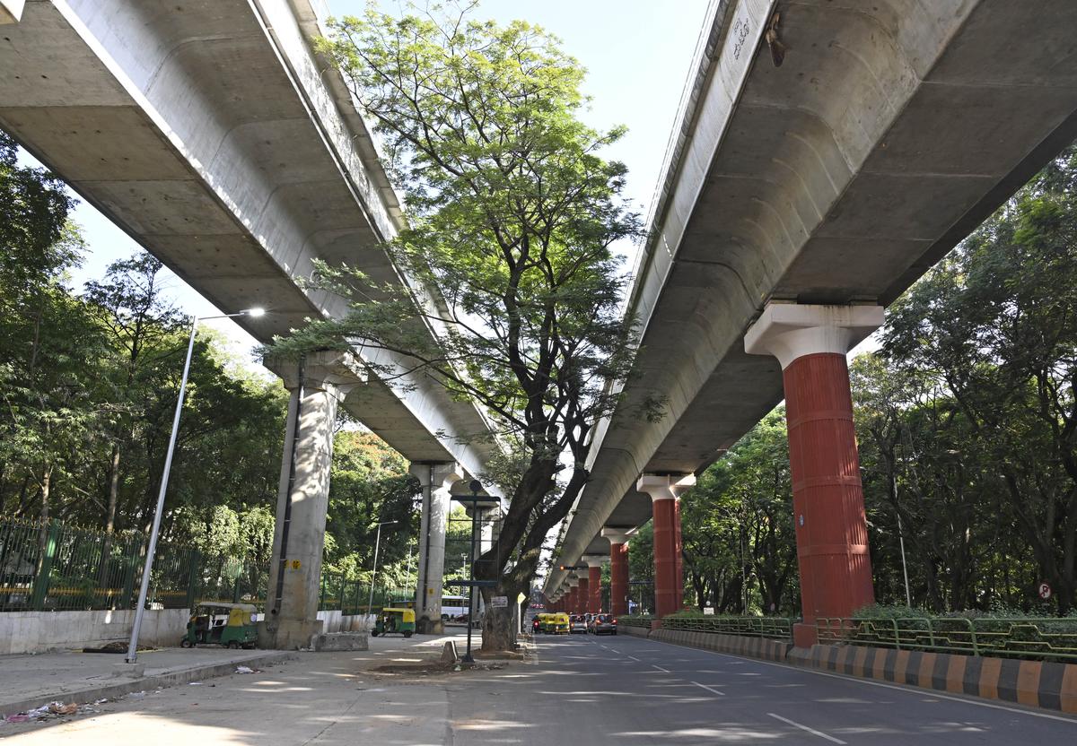 Experts say that many development projects in Bengaluru could have been better planned so that several trees need not have been cut. Experts say that many development projects in Bengaluru could have been better planned so that several trees need not have been cut.