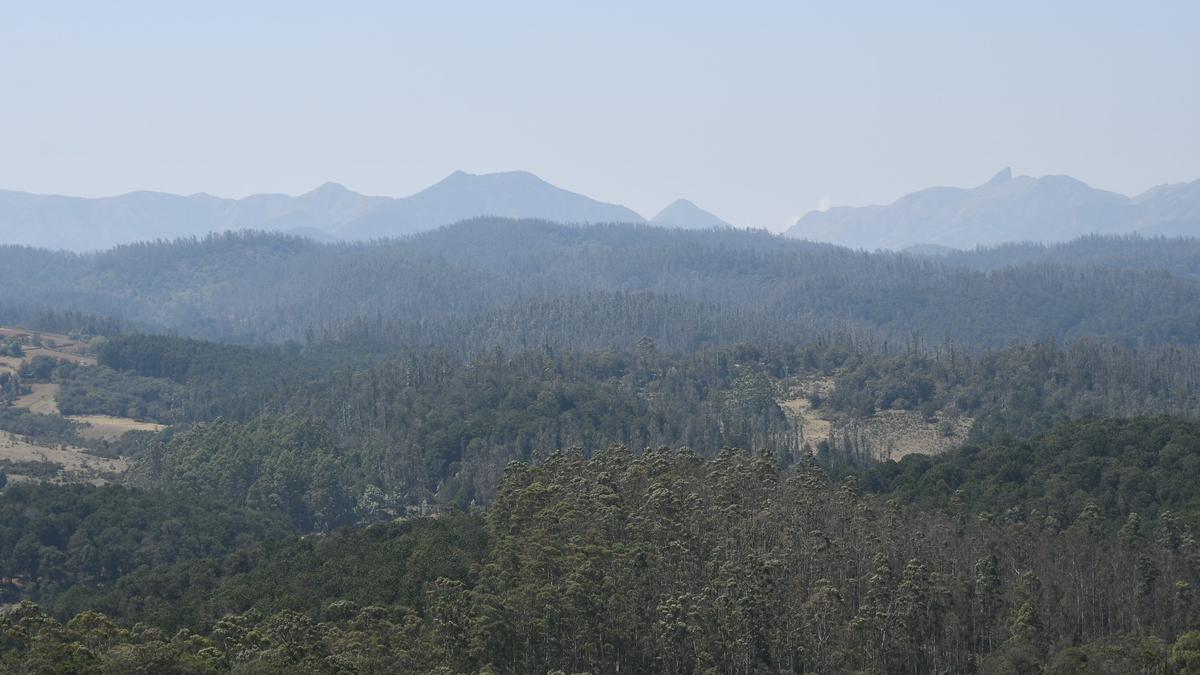 State Planning Commission details focus areas for improving the forest cover in Tamil Nadu