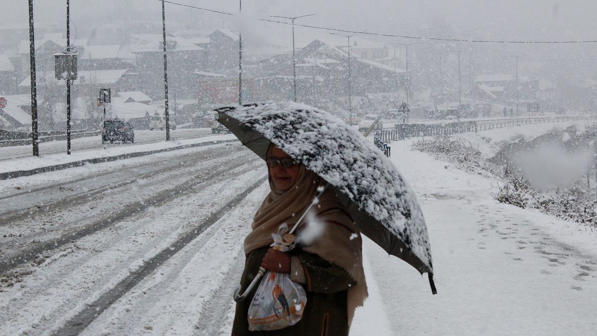 Fresh snowfall drapes Kashmir valley, but disrupts normal life