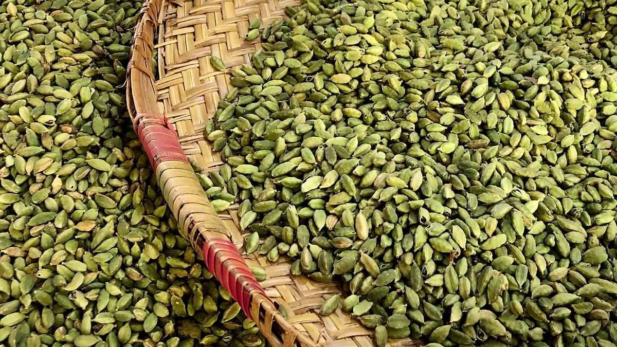 Spices Board to disburse ₹130 crore under SPICED Scheme