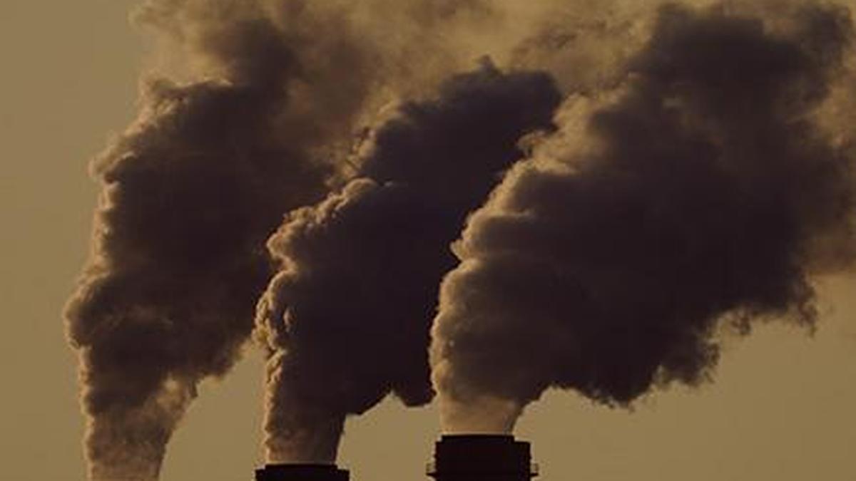 TGPCB shuts down 305 industries for violating pollution norms