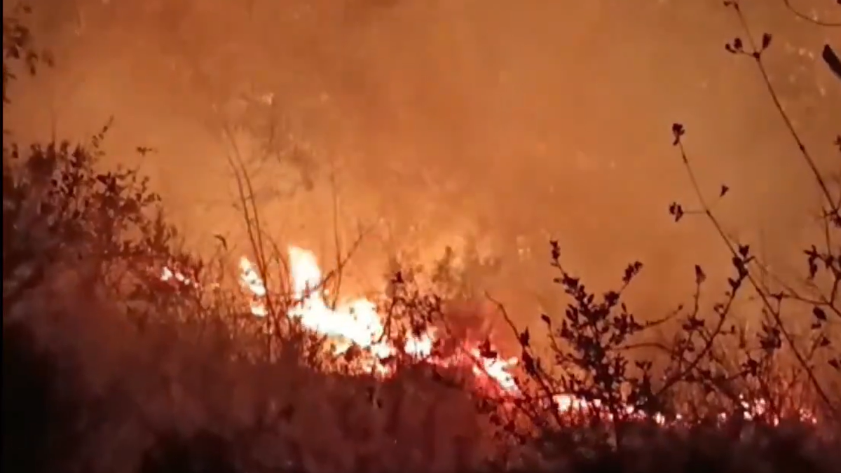 Nainital wildfires: Army called to control raging forest fire in Uttarakhand, IAF using Bambi Buckets to douse flames