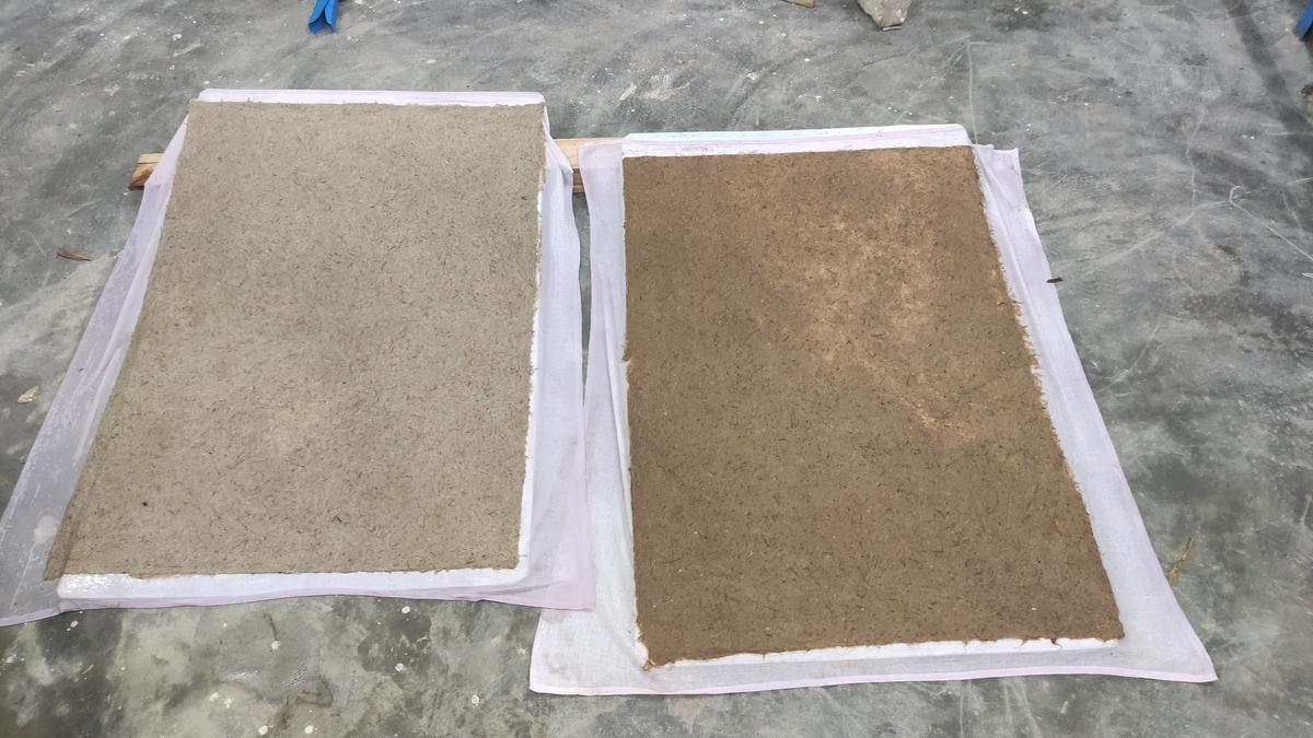 Paper sheets set out to dry Paper sheets set out to dry