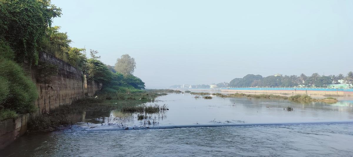 Municipal waste ends up in Tunga river in Shivamogga. Environmentalists are organising a padayatra to clean Tungabhadra river in the district. 