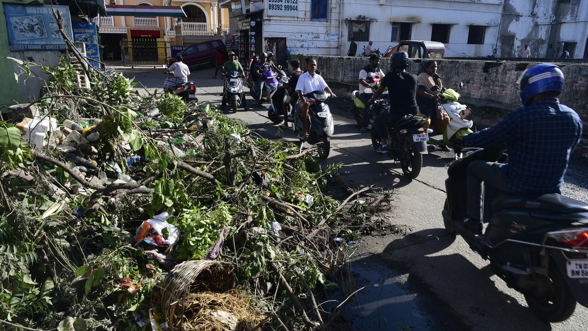 Tamilar Street residents want garbage dumped around nullah cleared