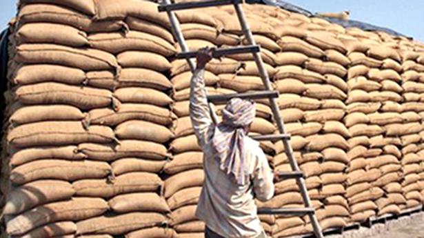 Allow India to export foodgrains from public stock to needy nations: FM Sitharaman to WTO