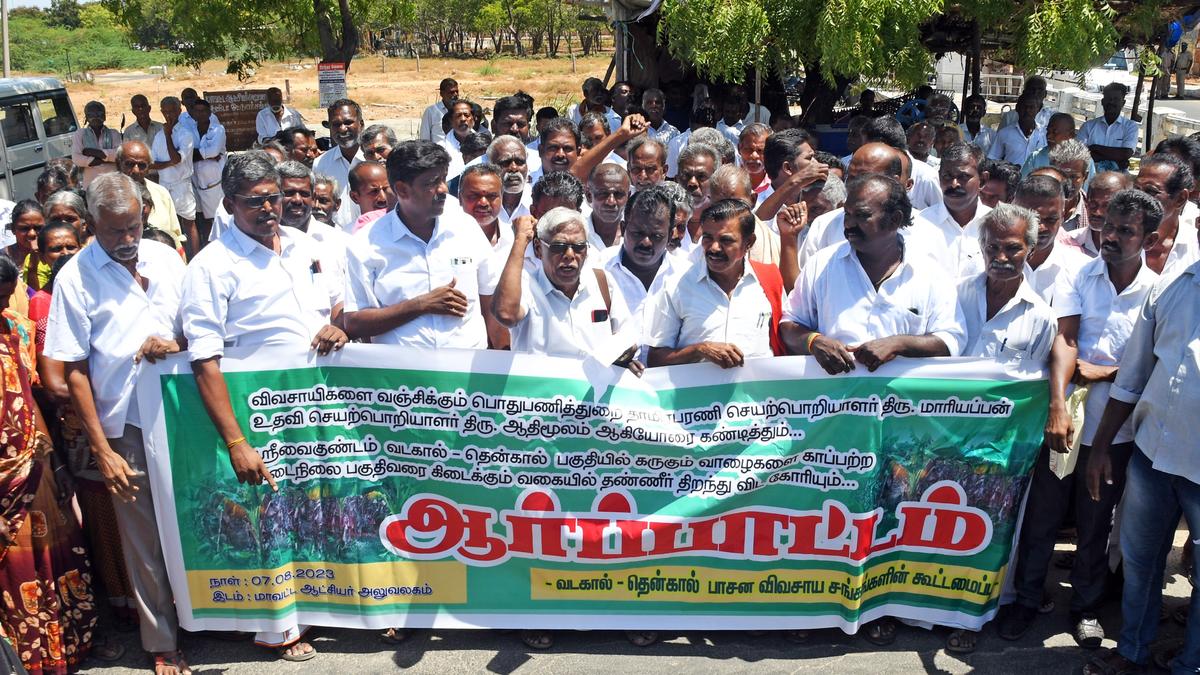 Farmers seek release of water in Vadakaal, Thenkaal of Srivaikundam to save standing plantain crop