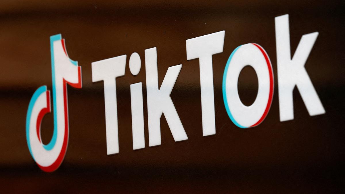 TikTok to ramp up fight against fake news, covert influence ahead of EU elections