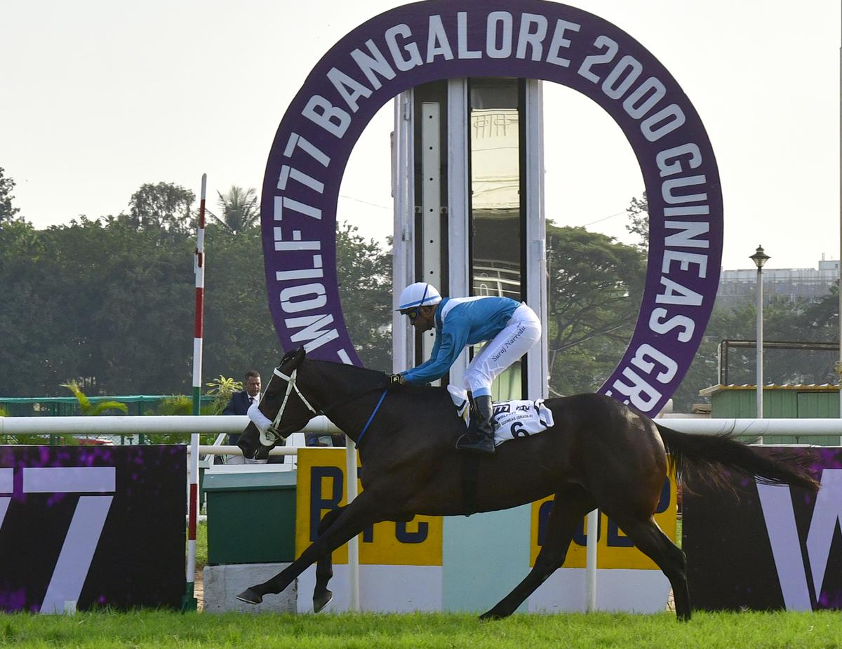 Shamrock (Suraj Narredu up) wins the Wolf 777 Bangalore 2000 Guineas, at the Bangalore Turf Club (BTC), in Bengaluru on December 17, 2022.