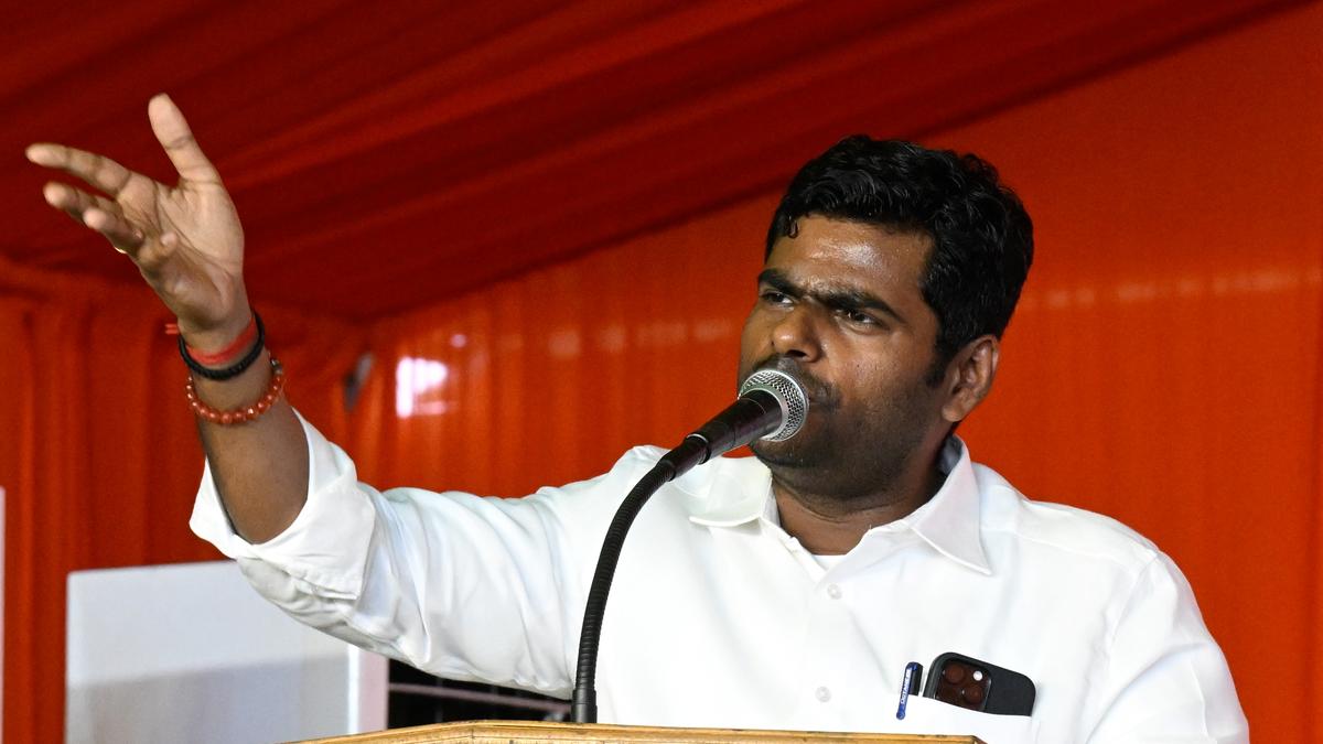 DMK Ministers take joy in belittling north Indians: BJP leader Annamalai