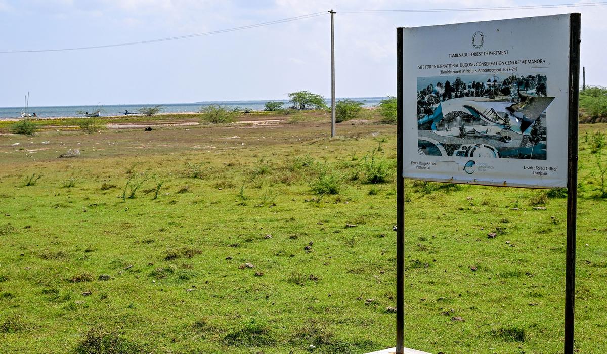 Big push: The State has decided to establish an International Dugong Conservation Centre at Manora in Thanjavur along the Palk Bay. The centre will be a hub of information and activity and an eco-tourism site.