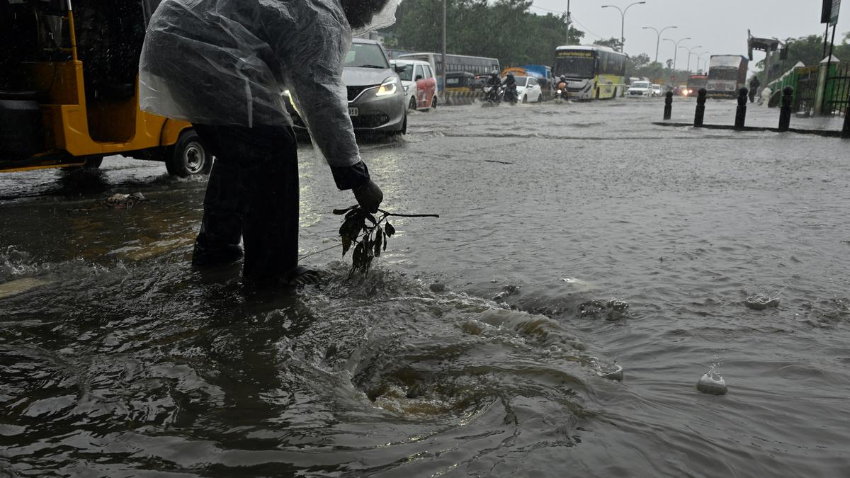 Flood volunteers recommend measures from the ground