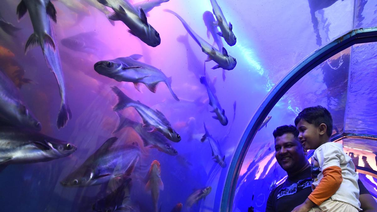 Fishermen’s relief fund raised to ₹10 lakh in Karnataka