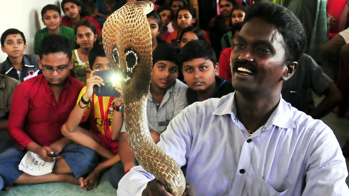 Vava Suresh’s proposed certification as a snake rescuer raises eyebrows