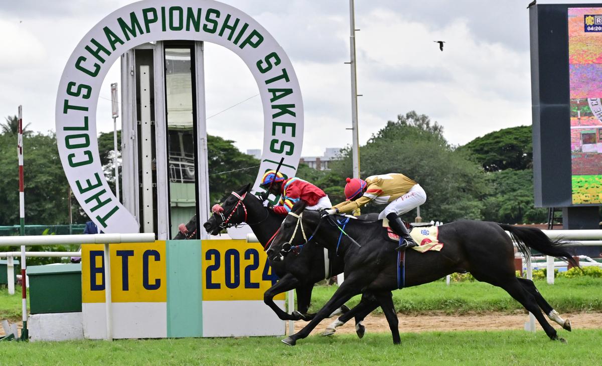 African Gold ridden by jockey Akshay Kumar, winning The Colts Championship Stakes, at the BTC, in Bengaluru on August 03, 2024.  