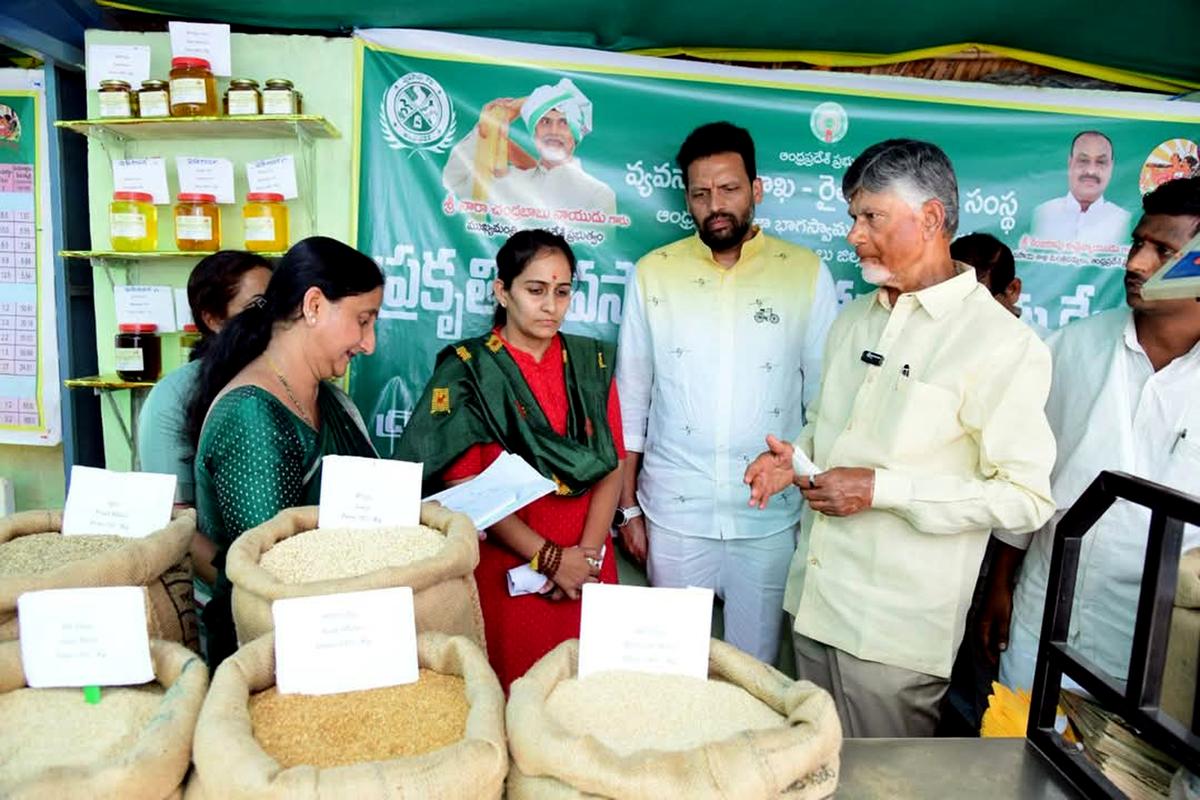 Andhra Pradesh Chief Minister N. Chandrababu Naidu, Industry Minister TG Bharath and Nandyal MP Byreddy Shabari were on Saturday visit at Rythu Bazaar in Kurnore C-camp. 