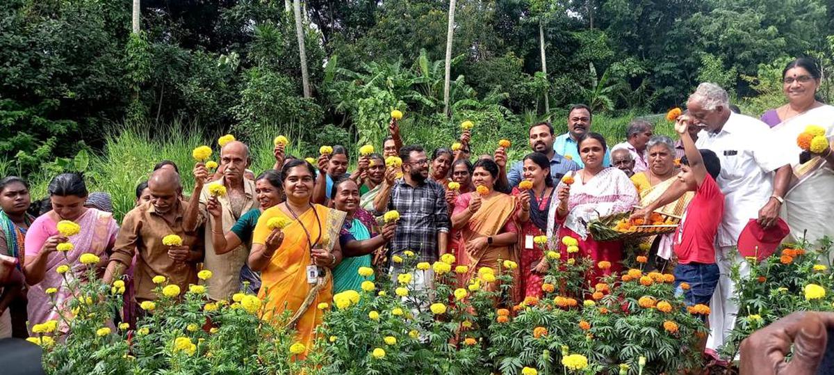 Inauguration of marigold harvesting at Pallichal. The farm is managed by Farm in Trivandrum group 