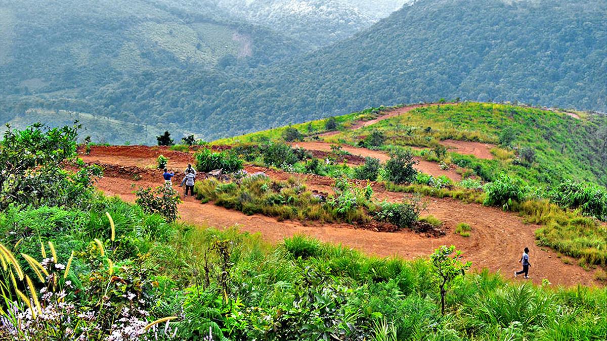 Andhra Pradesh imposes 15-day ban on tourism activities on Gudisa grassland