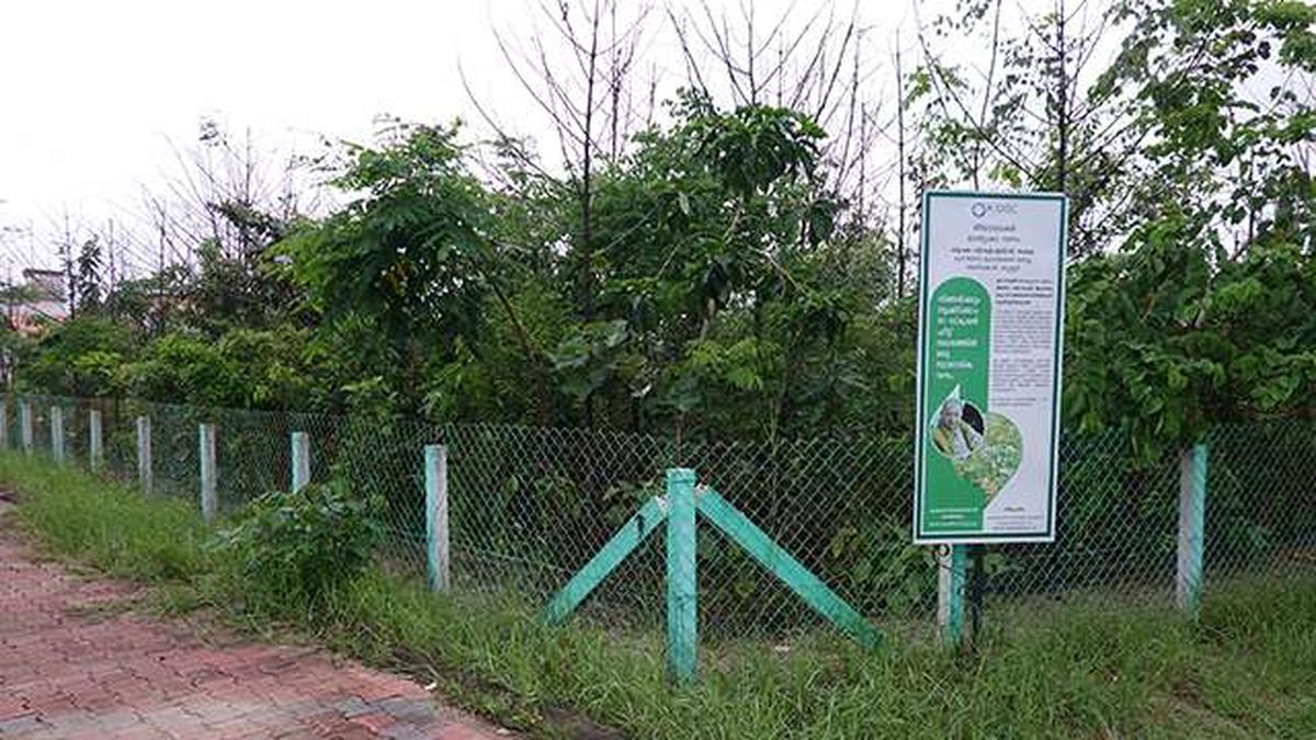 Miywaki forest at Munakkal beach, Alappuzha. 